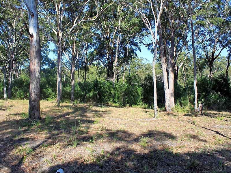 Block 3 Fishermans Reach Road, Fishermans Reach NSW 2441