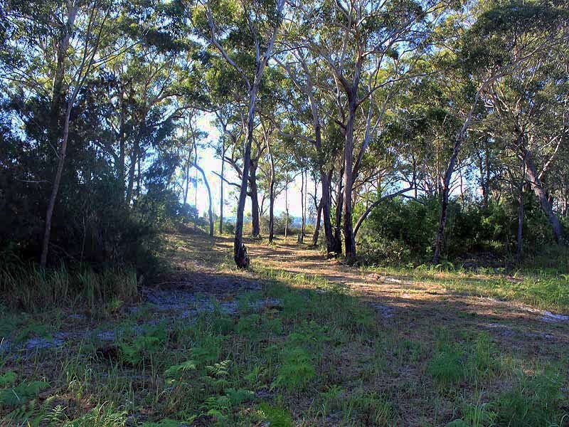 Block 3 Fishermans Reach Road, Fishermans Reach NSW 2441