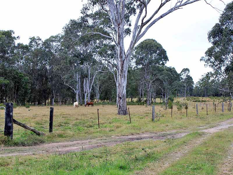 246 Mungay Flat Road, WILLAWARRIN via, Kempsey NSW 2440