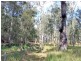 Prop Lot 2 Of Lot 2393 DP 263198 Spooners Avenue, COLLOMBATTI via, Kempsey NSW 2440