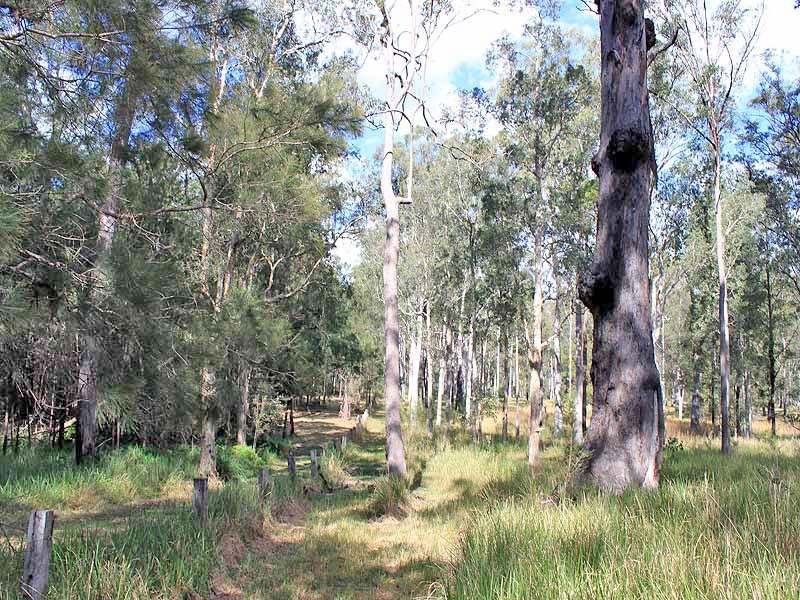 Prop Lot 2 Of Lot 2393 DP 263198 Spooners Avenue, COLLOMBATTI via, Kempsey NSW 2440