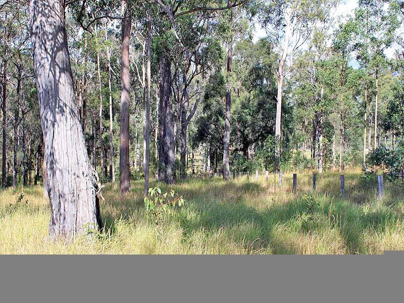 Prop Lot 2 Of Lot 2393 DP 263198 Spooners Avenue, COLLOMBATTI via, Kempsey NSW 2440