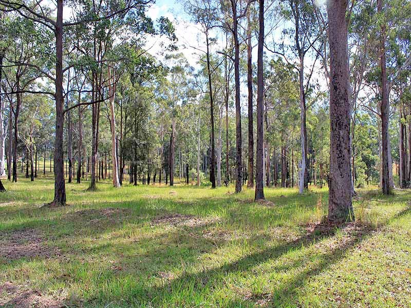 Prop Lot 2 Of Lot 2393 DP 263198 Spooners Avenue, COLLOMBATTI via, Kempsey NSW 2440