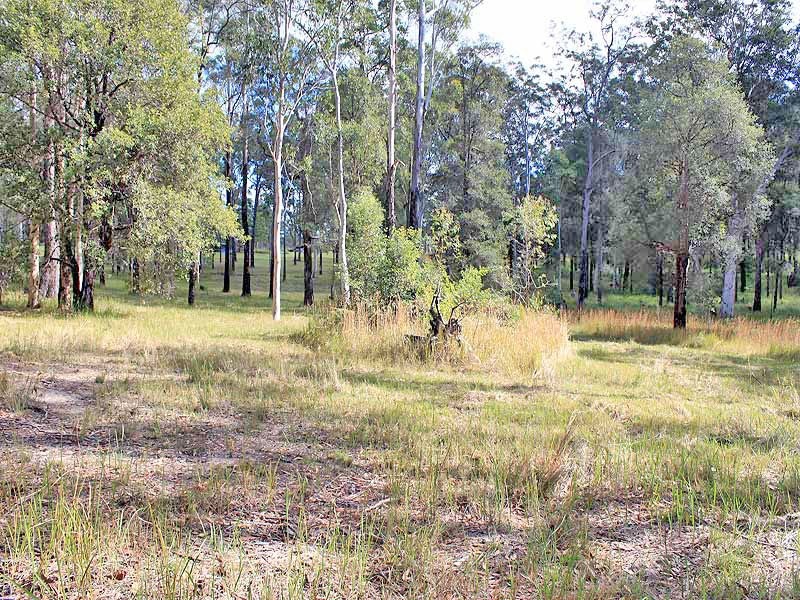 Prop Lot 2 Of Lot 2393 DP 263198 Spooners Avenue, COLLOMBATTI via, Kempsey NSW 2440