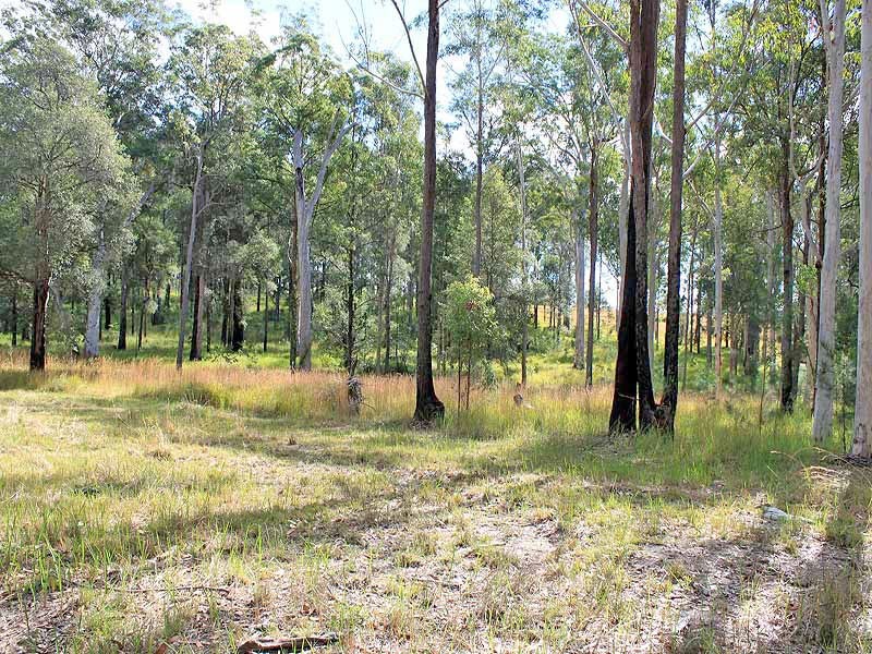 Prop Lot 2 Of Lot 2393 DP 263198 Spooners Avenue, COLLOMBATTI via, Kempsey NSW 2440