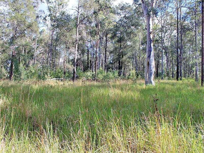 Prop Lot 2 Of Lot 2393 DP 263198 Spooners Avenue, COLLOMBATTI via, Kempsey NSW 2440
