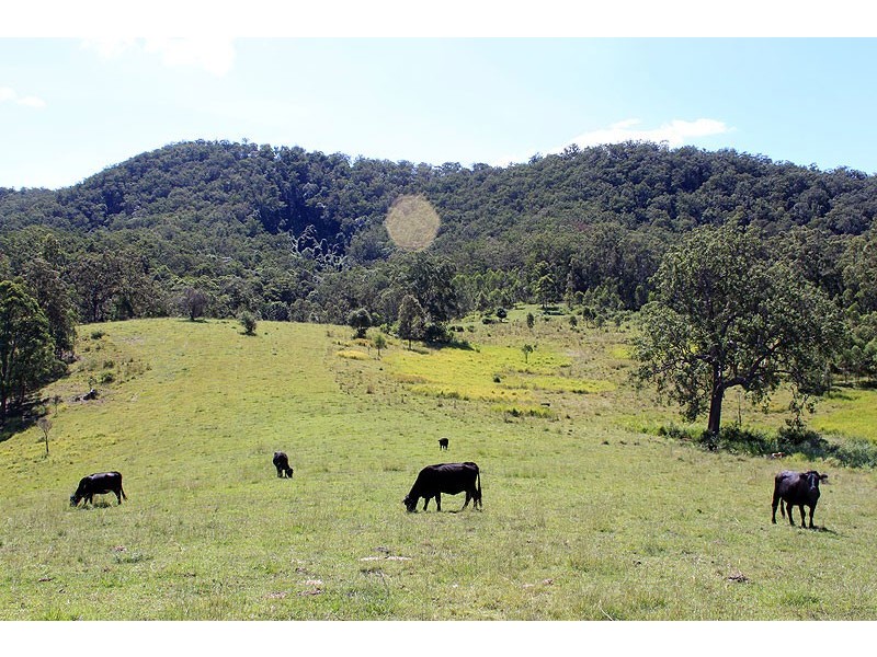 Lot 67 DP 752423 Warbro Brook Road, TOOROOKA via, Kempsey NSW 2440