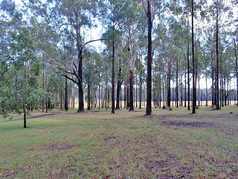 125 Kemps Access, COLLOMBATTI via, Kempsey NSW 2440