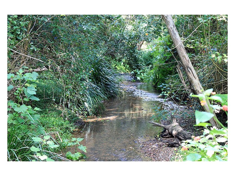 Lot 73 DP 752423 Warbro Brook Road, Toorooka NSW 2440
