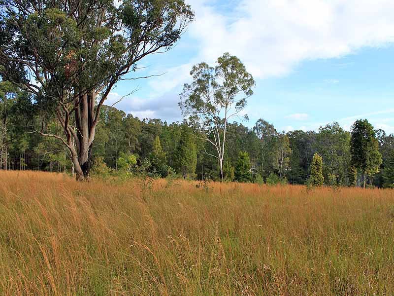 Lot 6212 Gowings Hill Road, DONGDINGALONG via, Kempsey NSW 2440