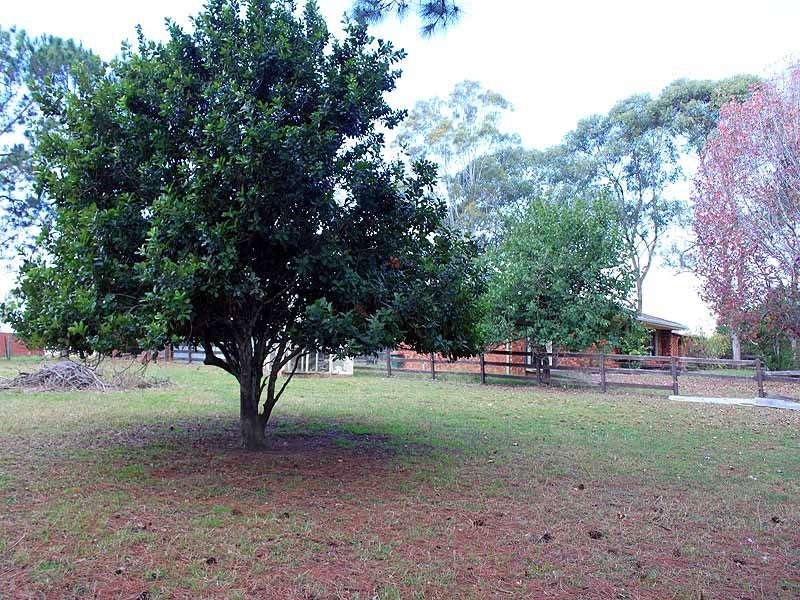 2 Warne Drive, ALDAVILLA via, Kempsey NSW 2440