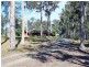 343 Gowings Hill Road, DONDINGALONG via, Kempsey NSW 2440