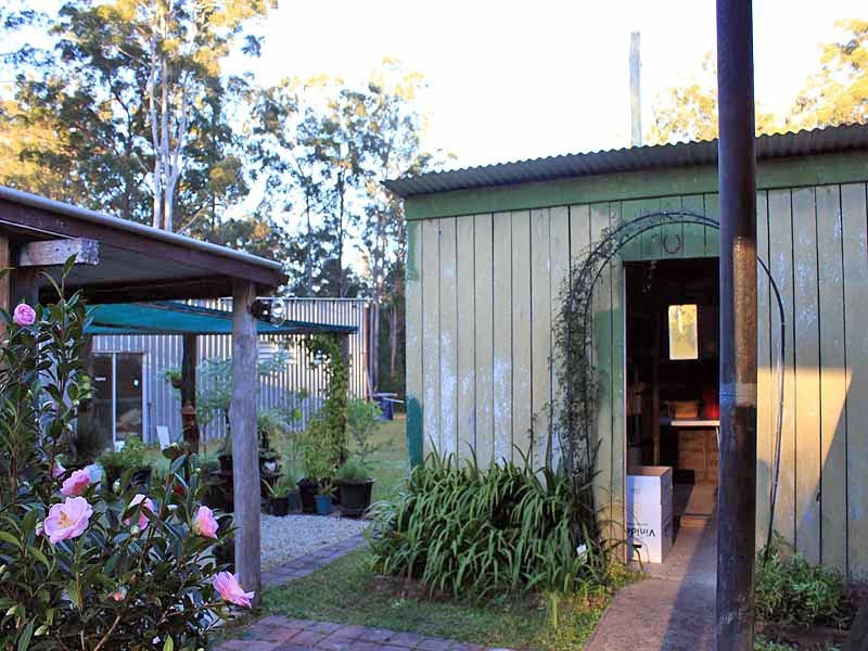 934 Collombatti Road, Collombatti NSW 2440