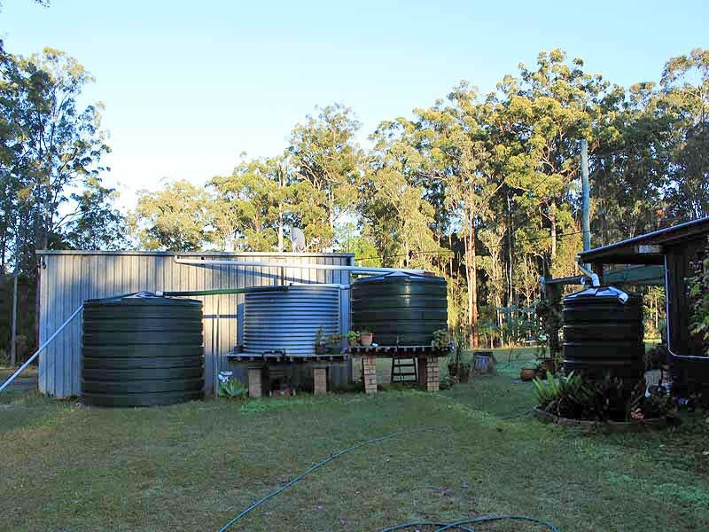 934 Collombatti Road, Collombatti NSW 2440