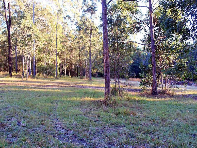 934 Collombatti Road, Collombatti NSW 2440