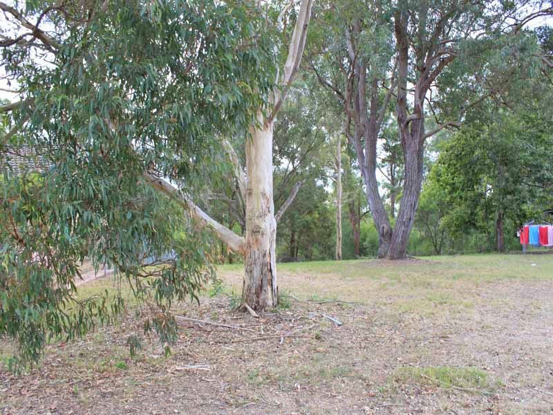 114 Middleton Street, Kempsey NSW 2440