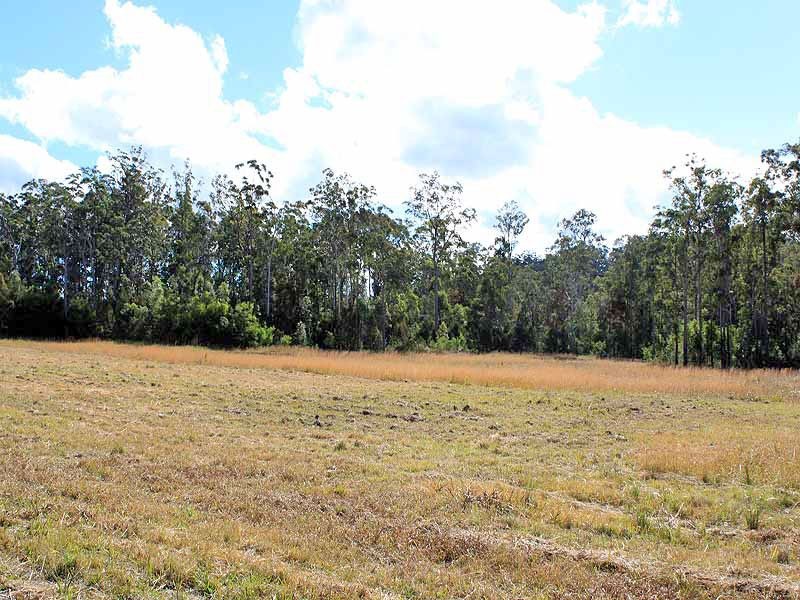 Lot 3 Amber Way, Kundabung NSW 2441