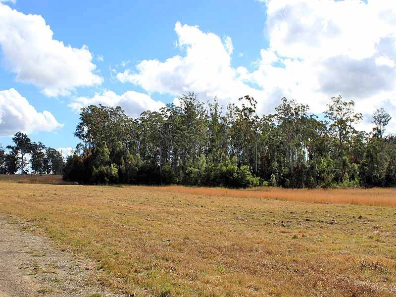 Lot 3 Amber Way, Kundabung NSW 2441