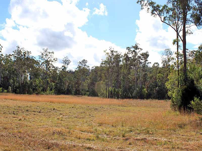 Lot 3 Amber Way, Kundabung NSW 2441
