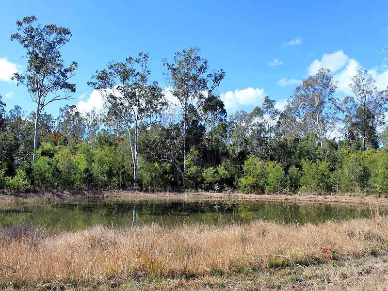 Lot 3 Amber Way, Kundabung NSW 2441