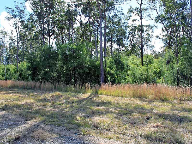 Lot 3 Amber Way, Kundabung NSW 2441