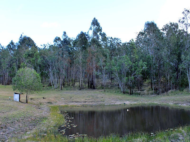 1517 Willi Willi Road, TEMAGOG, via, Kempsey NSW 2440