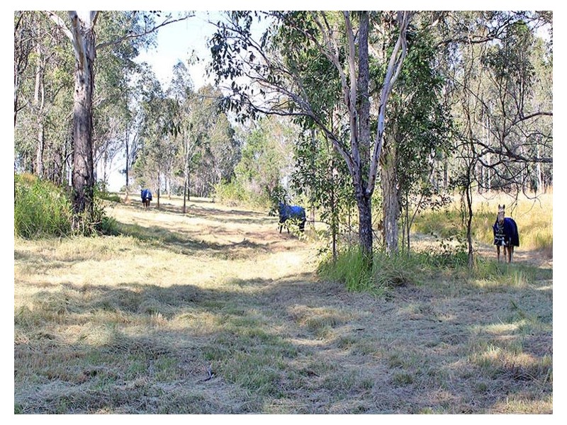 1517 Willi Willi Road, TEMAGOG, via, Kempsey NSW 2440