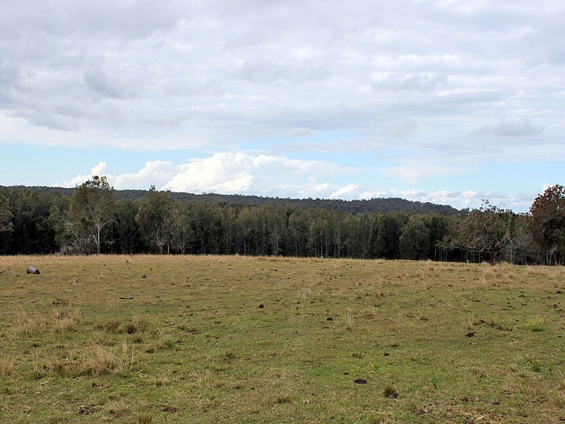 350 Salesyard Road, COLLOMBATTI, via, Kempsey NSW 2440