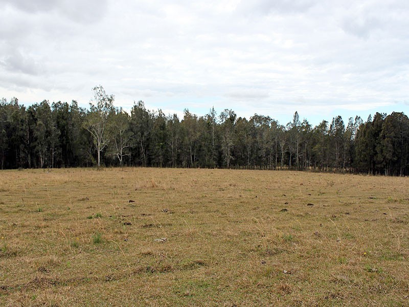 350 Salesyard Road, COLLOMBATTI, via, Kempsey NSW 2440