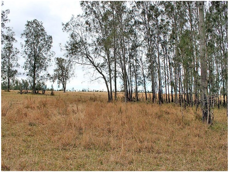 350 Salesyard Road, COLLOMBATTI, via, Kempsey NSW 2440