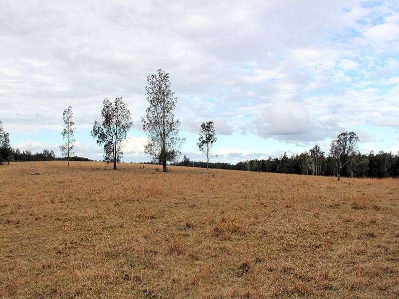 350 Salesyard Road, COLLOMBATTI, via, Kempsey NSW 2440