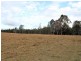 350 Sale Yards Road, COLLOMBATTI, via, Kempsey NSW 2440