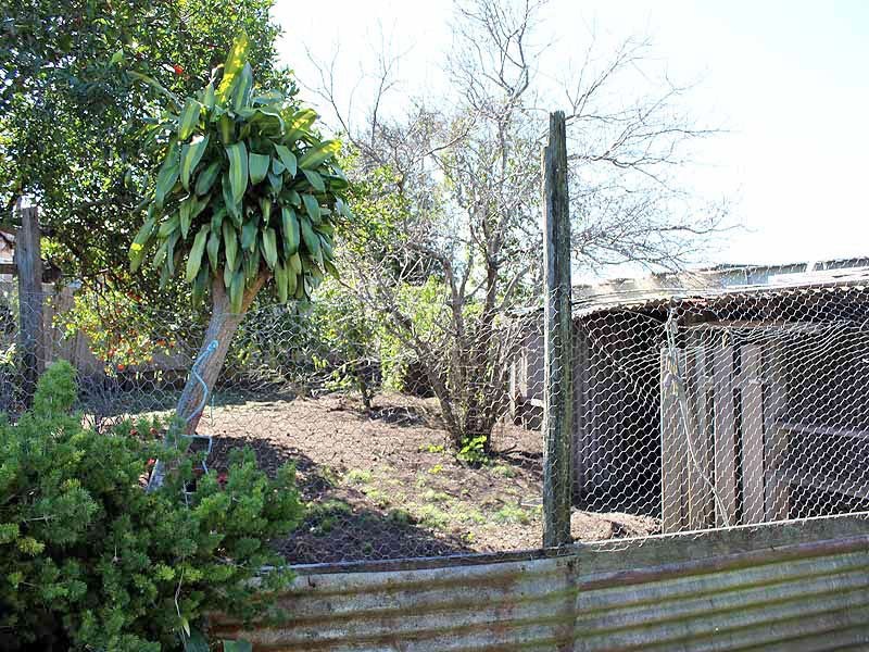 5 Cochrane Street, WEST KEMPSEY via, Kempsey NSW 2440