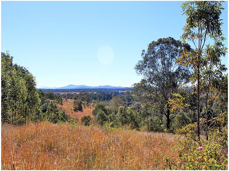 Lot 1092 Willi Willi Road, Turners Flat NSW 2440