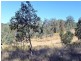 Lot 1092 Willi Willi Road, Turners Flat NSW 2440