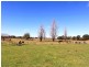 24 Warne Drive, Aldavilla NSW 2440