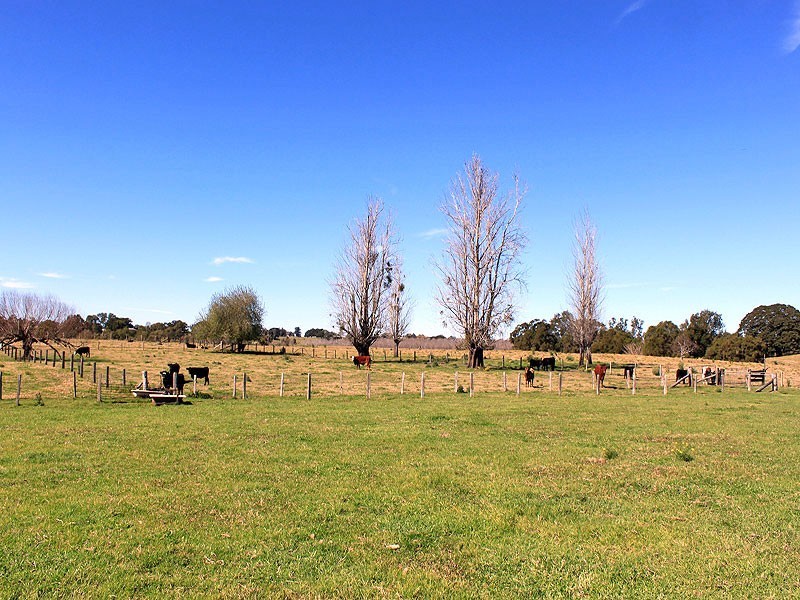 24 Warne Drive, Aldavilla NSW 2440