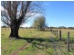 24 Warne Drive, Aldavilla NSW 2440