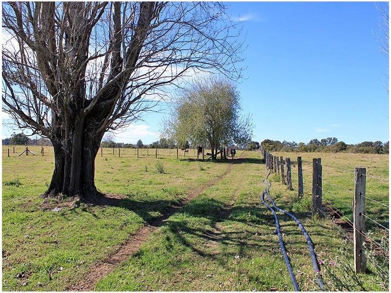 24 Warne Drive, Aldavilla NSW 2440