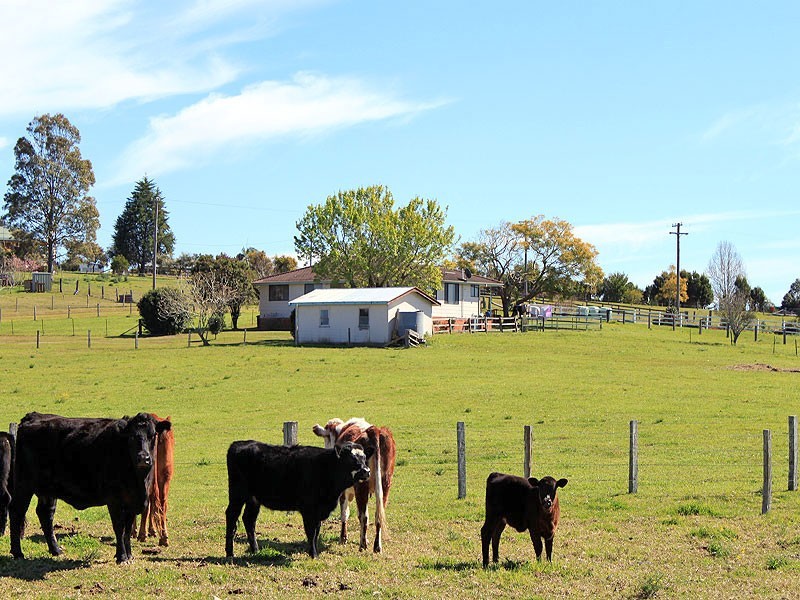 24 Warne Drive, Aldavilla NSW 2440