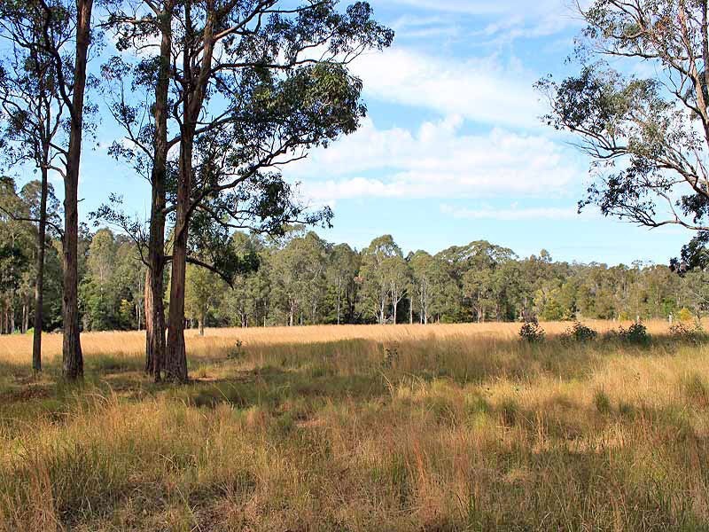 19 Mulbury Place, Euroka NSW 2440