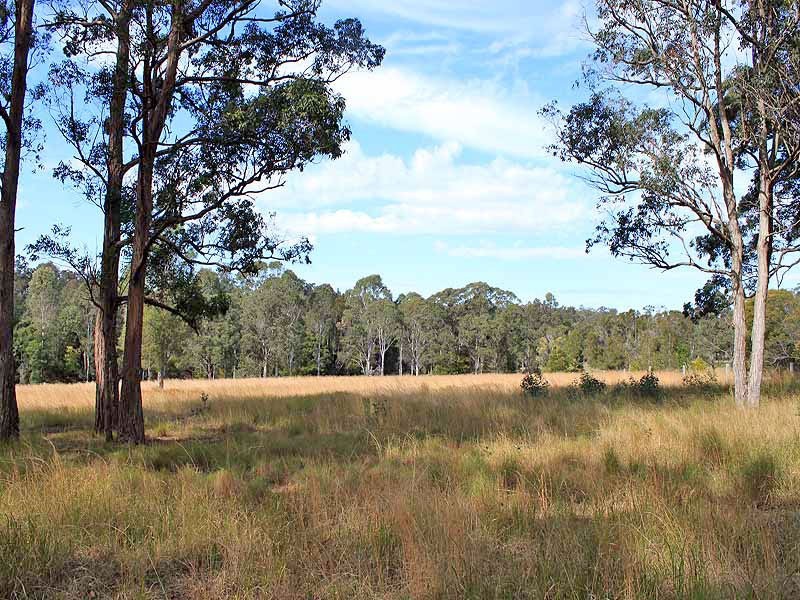 19 Mulbury Place, Euroka NSW 2440