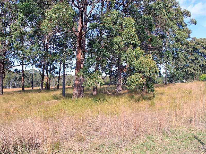 19 Mulbury Place, Euroka NSW 2440