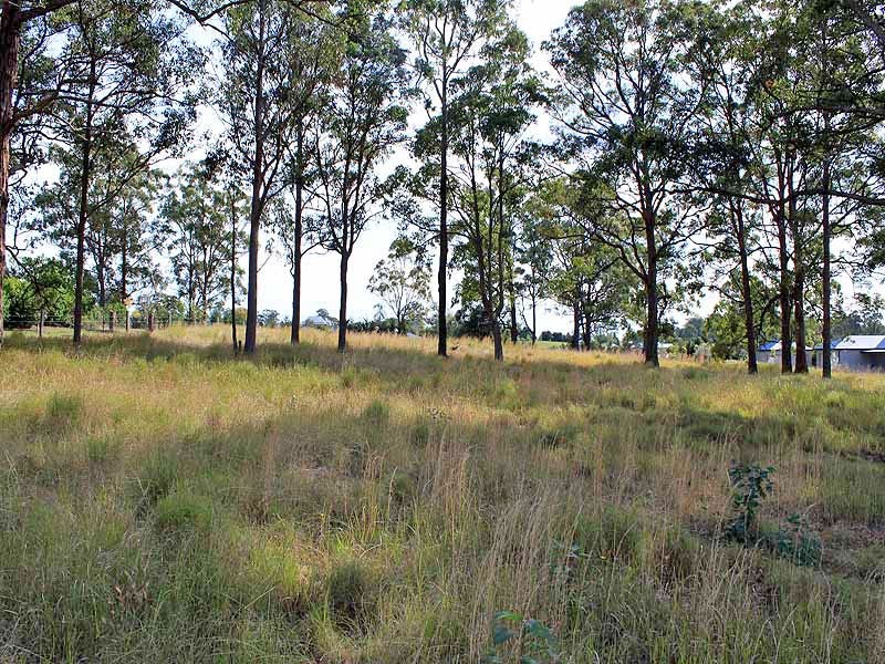 19 Mulbury Place, Euroka NSW 2440
