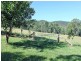 701 Willi Willi Road, Turners Flat NSW 2440