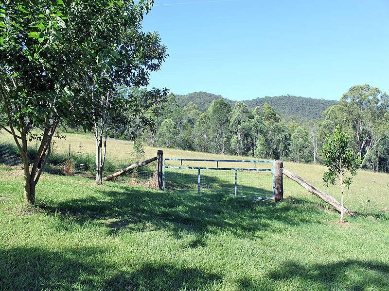 701 Willi Willi Road, Turners Flat NSW 2440