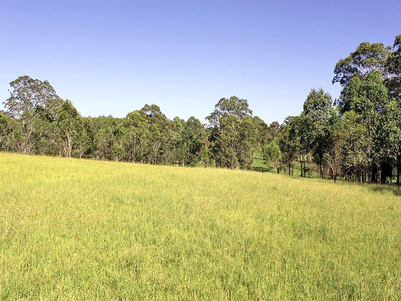 701 Willi Willi Road, Turners Flat NSW 2440