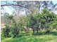 2178 Armidale Road, WILLAWARRIN, via, Kempsey NSW 2440