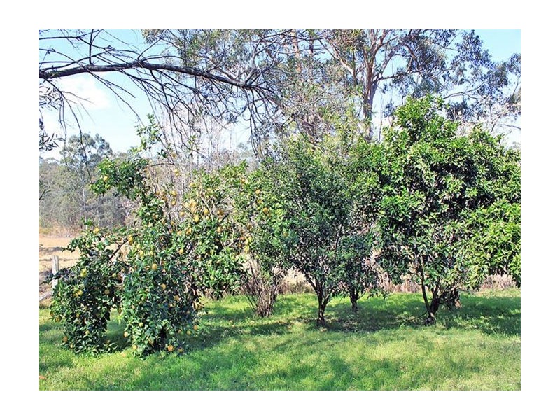 2178 Armidale Road, WILLAWARRIN, via, Kempsey NSW 2440