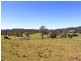 Lot 1 Kesby’s Road, Hickeys Creek NSW 2440